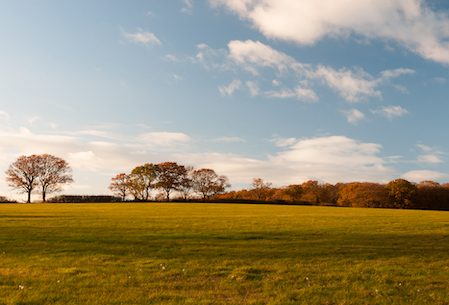 Bridging Loan for UK Land Purchase