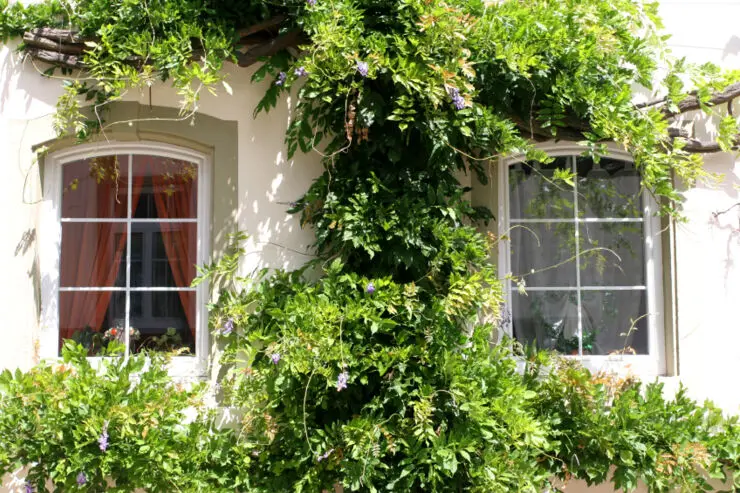 £1.2 Million Auction Bridging Loan for Residential Property Purchase