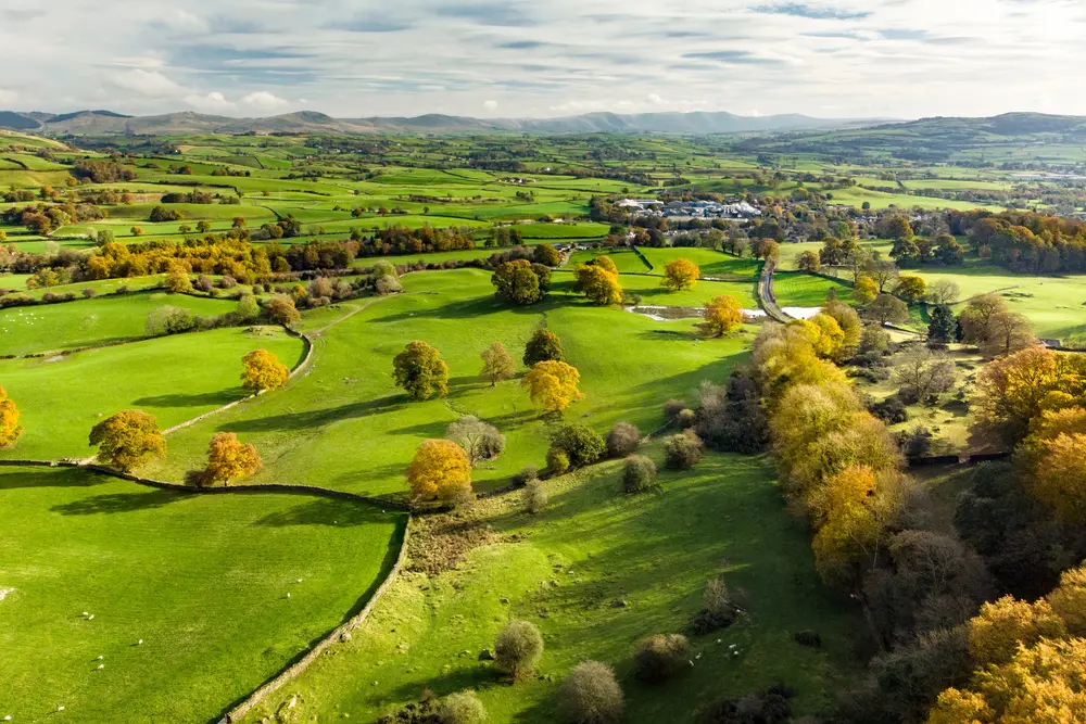 £1.45M Bridging Loan for Land Acquisition to Secure Prime Development Opportunity