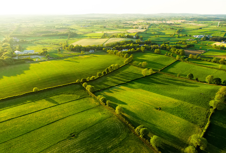 Bridge Loan for Land Purchase in Ireland