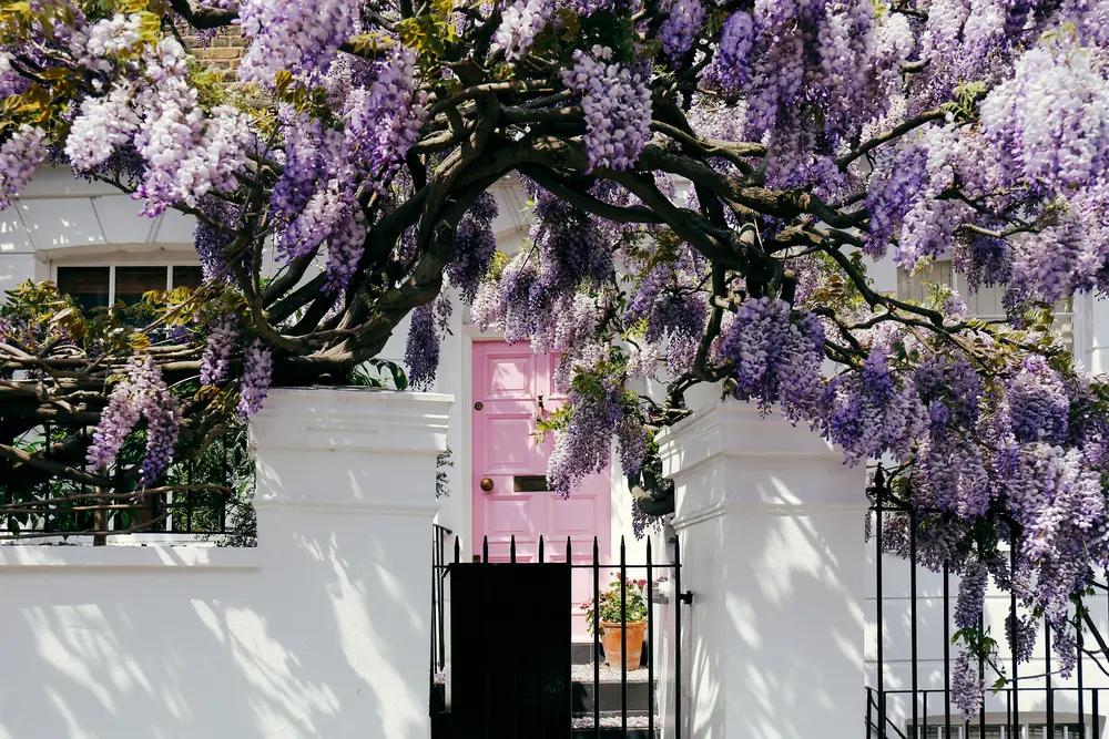 Personal Bridging Loans: Fast Finance for Urgent Needs